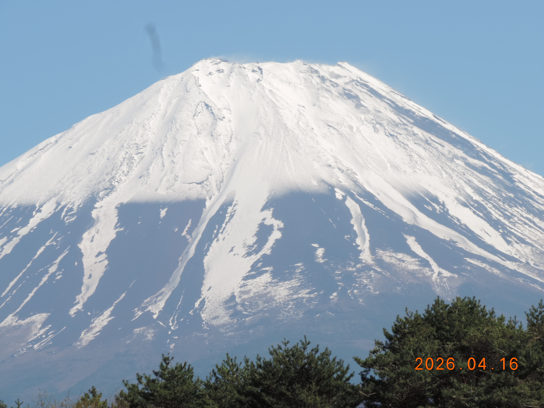 【令和8年4月14日(月)】晴れ、風強い北風、水温１４℃、水薄濁り、朝の気温７℃、昼は１９℃