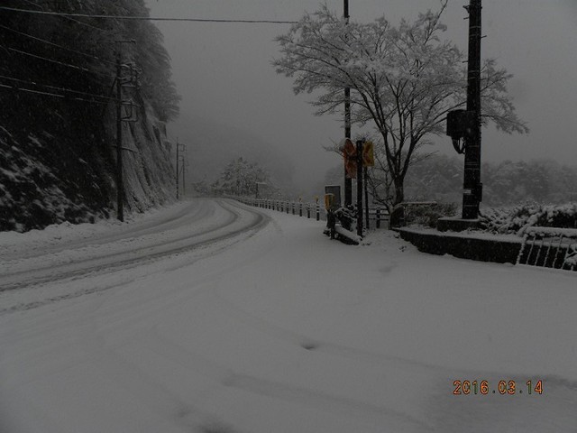 160314-2店前雪昼