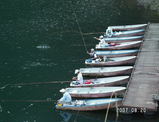33b4304b.jpg