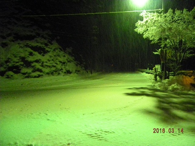 160314-2店前雪夜