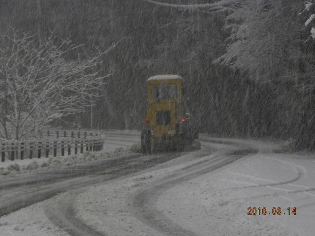 160314-2店裏除雪作業
