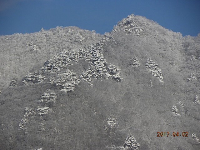 170402-2村浜上雪